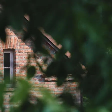 Zapomnienie Feriegård *