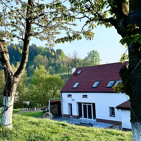 Zapomnienie Nowa Ruda