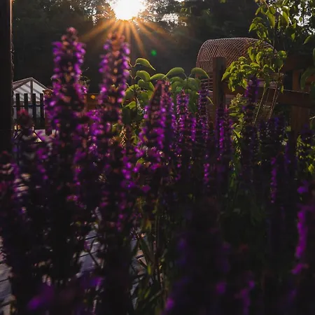 Farm stay Zapomnienie