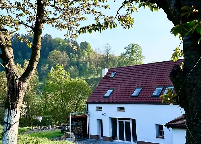 Zapomnienie Nowa Ruda